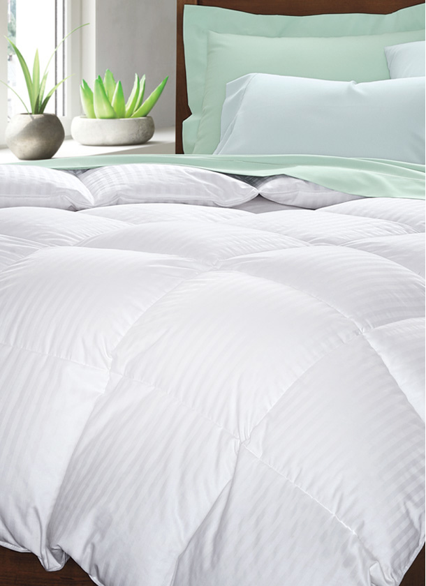 Devoted to your luxurious comfort and style